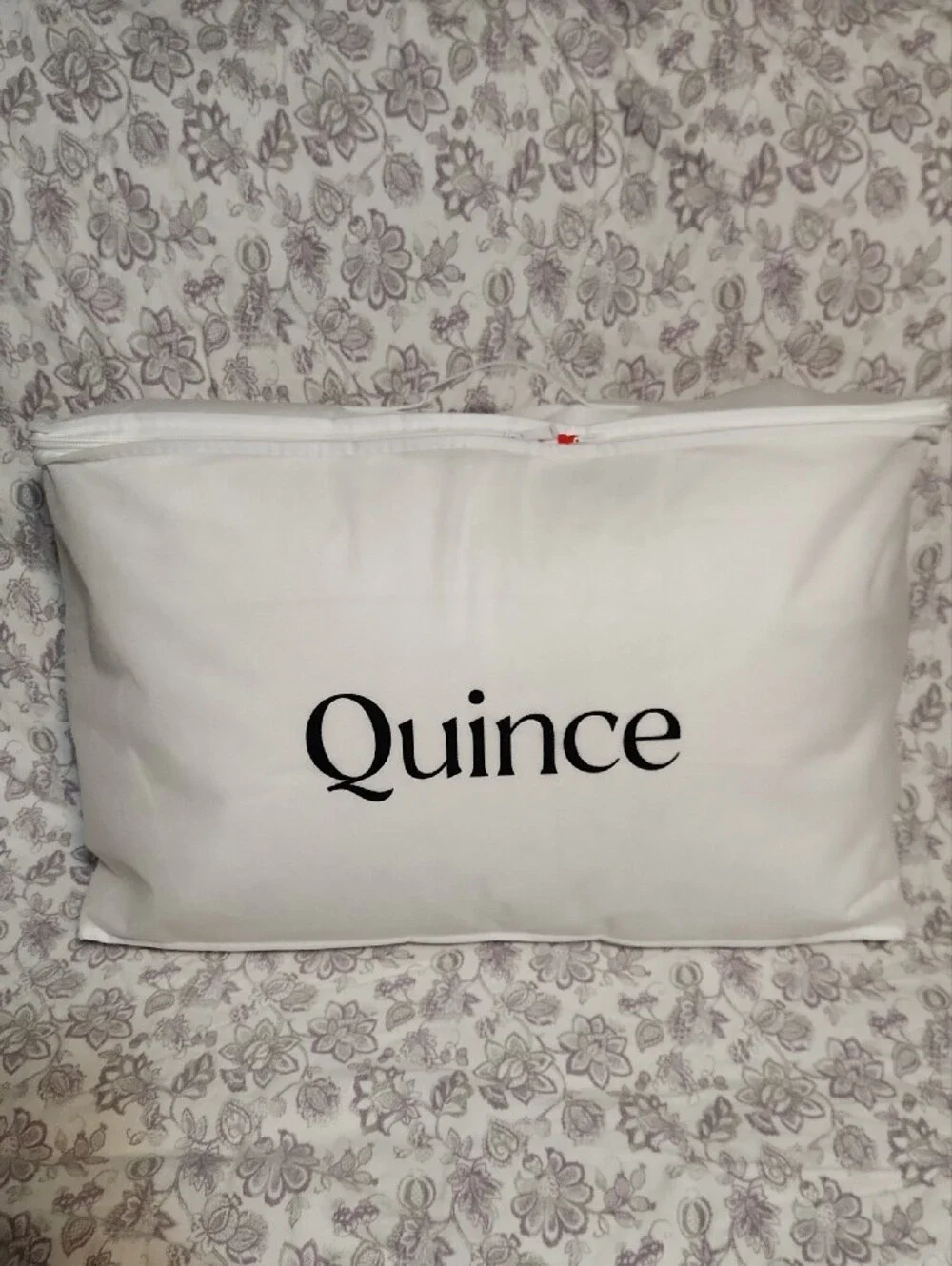 Quince Luxe Goose Down Pillow - Standard, Open Box
